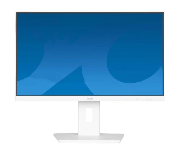 IIYAMA ProLite XUB2497HSN-W2 - 1284777 - zdjęcie